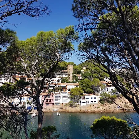Mareva Apartmán *